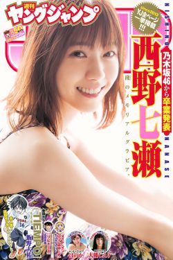 速度与激情7
